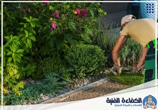 شركة تنسيق حدائق في راس الخيمة