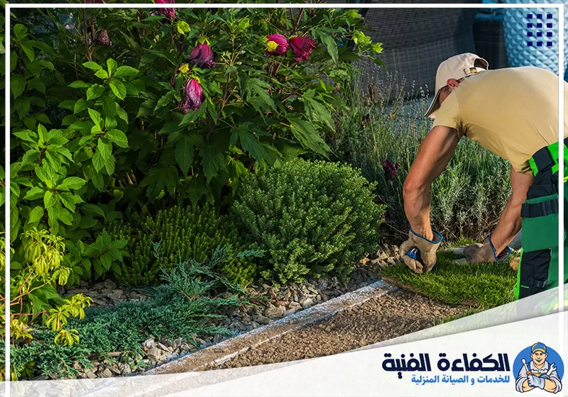 شركة تنسيق حدائق في راس الخيمة