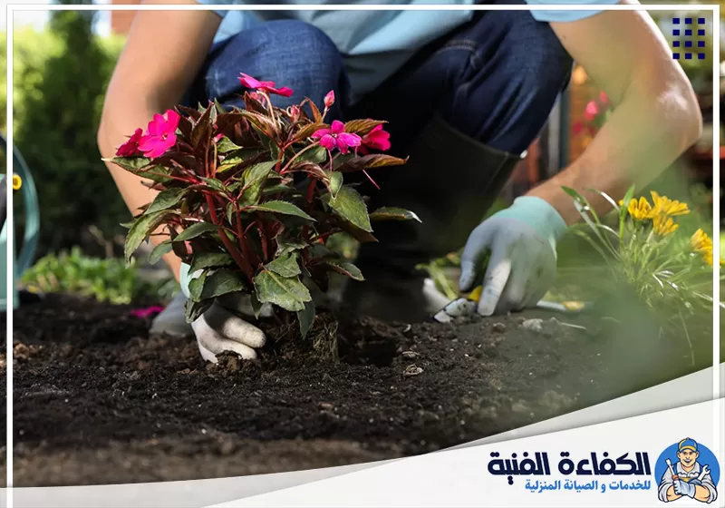 تنسيق حدائق راس الخيمة تنسيق حدائق راس الخيمة