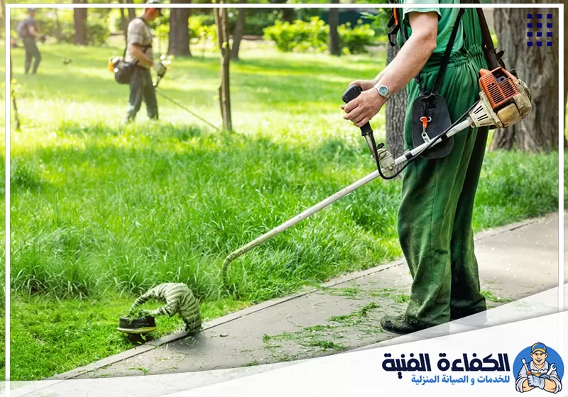 لاند سكيب في راس الخيمة لاند سكيب في راس الخيمة