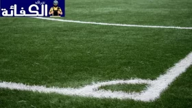 شركة تركيب وتوريد عشب صناعي في الشارقة