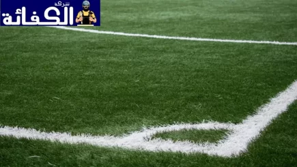 شركة تركيب وتوريد عشب صناعي في الشارقة
