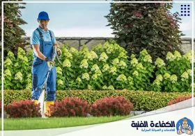 تنسيق حدائق في دبي