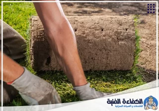تركيب عشب صناعي في عجمان