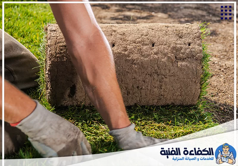 تركيب عشب صناعي في عجمان