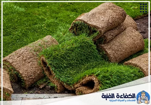 افضل شركة تركيب عشب صناعي في عجمان افضل شركة تركيب عشب صناعي في عجمان