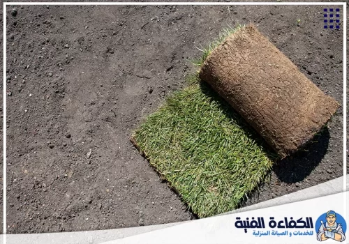 طريقة تركيب العشب الصناعي على البلاط في عجمان طريقة تركيب العشب الصناعي على البلاط في عجمان