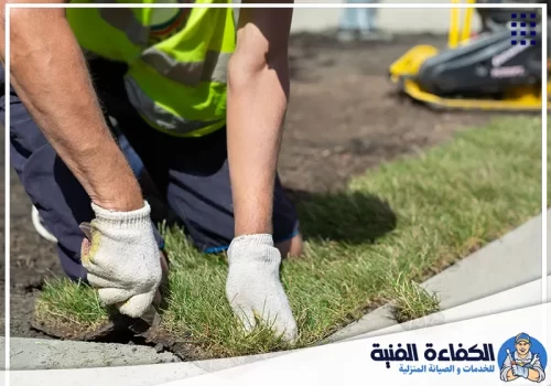 طريقة تركيب العشب الصناعي على الجدار في عجمان طريقة تركيب العشب الصناعي على الجدار في عجمان