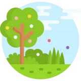 زراعة المسطحات الخضراء