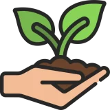 زراعة الأشجار والنباتات